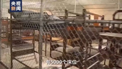 “鳄鱼恶魔岛”内部画面曝光