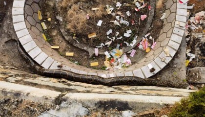 吓人！泉州一墓地惊现50斤巨蟒！抓捕视频太惊险