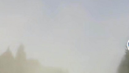 北京花粉浓度“高到很高”，12345回应：将逐步更换树种