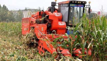 应对持续阴雨天气，山东积极行动保障“三秋”生产