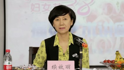 续效丽被查，已多年未出现在公开报道中