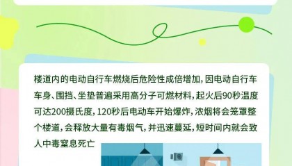 5月1日起，带它进电梯罚款1000元！