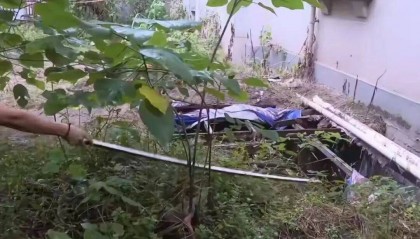 重庆男子下楼捡鞋坠入绿化带深坑身亡，小区内还有几个类似深坑，物业称一无所知，相关部门正在调查处理