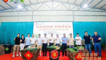 总产值超147亿元！佛山顺德庆祝2025年中国农民丰收节