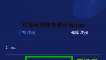 比特现金平台(比特现金平台官网)