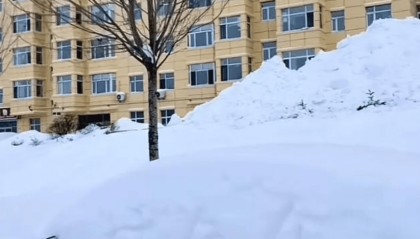 鹤岗暴雪过后，车主开启挖宝寻车模式