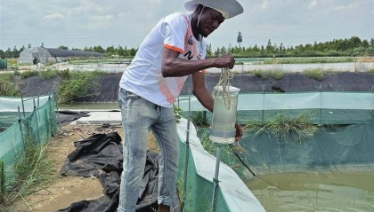 江苏苏州：非洲留学生：我要把苏州经验带回家