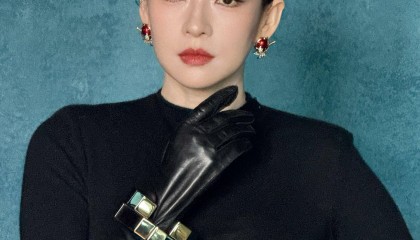 章子怡执导的首部长篇电影《游过海岸一百米》公布立项！网传文淇将出演女二号