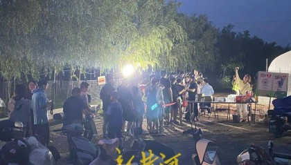 济南这片树林，一晚捉了20000只金蝉