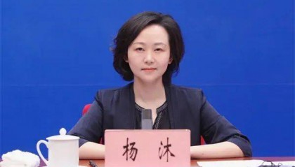 厅长杨沐，履新商务部