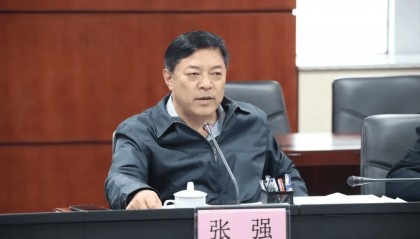 广东省委批准，开除张强党籍