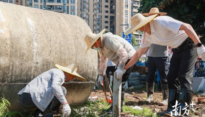 顺德超3300名党员干部下沉一线，党群联动打响蚊媒防控歼灭战