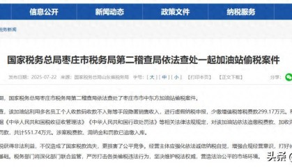 枣庄一加油站偷税299.17万元！被查