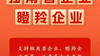 政府工作报告中的新词“瞪羚企业”，是什么意思？