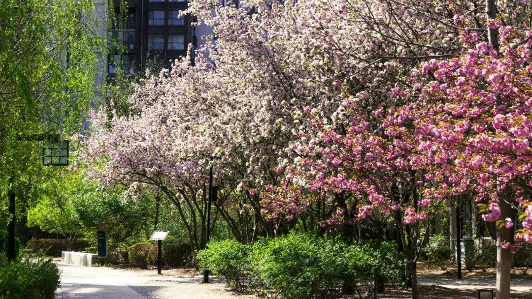 重磅喜讯！泰达建设集团格调系荣获中指院“2024中国房地产项目品牌价值TOP10”称号