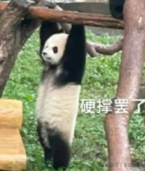 好嚣张!他和老婆上节目,却半夜偷着和老婆闺蜜联系?