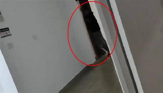 上海一高校男生晚上撞开女生寝室门,校方:醉酒后走错了