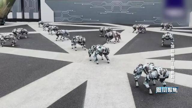 俄乌幕后暗战:克格勃遗产如何影响战场局势?|凤凰聚焦