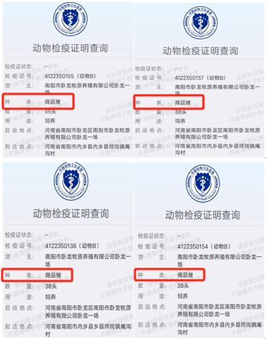 超3000头猪死亡:牧原股份遭老养殖户起诉