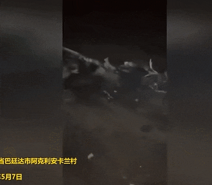 击落F-16?俘虏巴基斯坦飞行员?为啥印度媒体都宣传印度赢了?