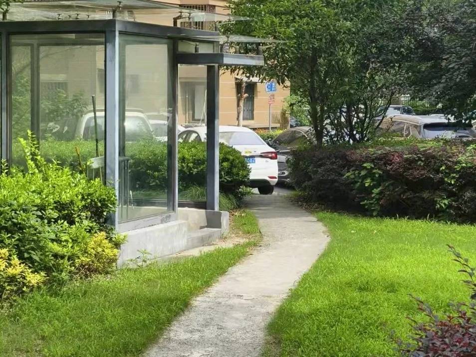 上海七旬老人小区散步被毒蛇咬伤,女儿崩溃:医院怎么选……这份救命指南快收好!