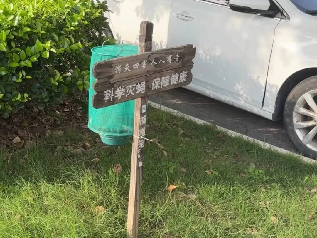 上海七旬老人小区散步被毒蛇咬伤,女儿崩溃:医院怎么选……这份救命指南快收好!