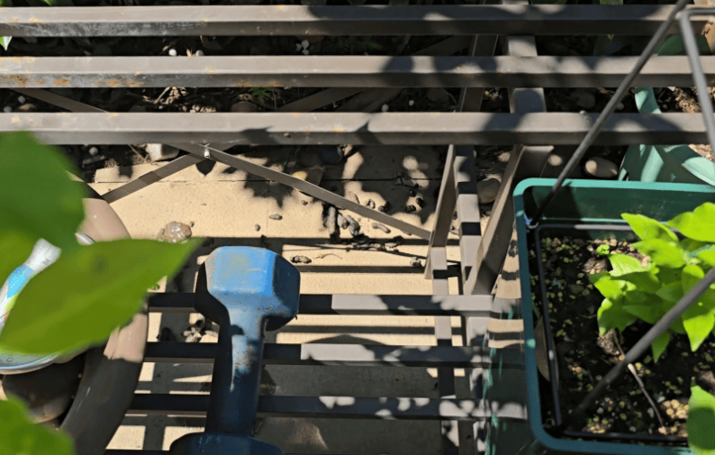 上海一小区居民苦恼新邻居:突然搬来让人提心吊胆!不能抓不能打