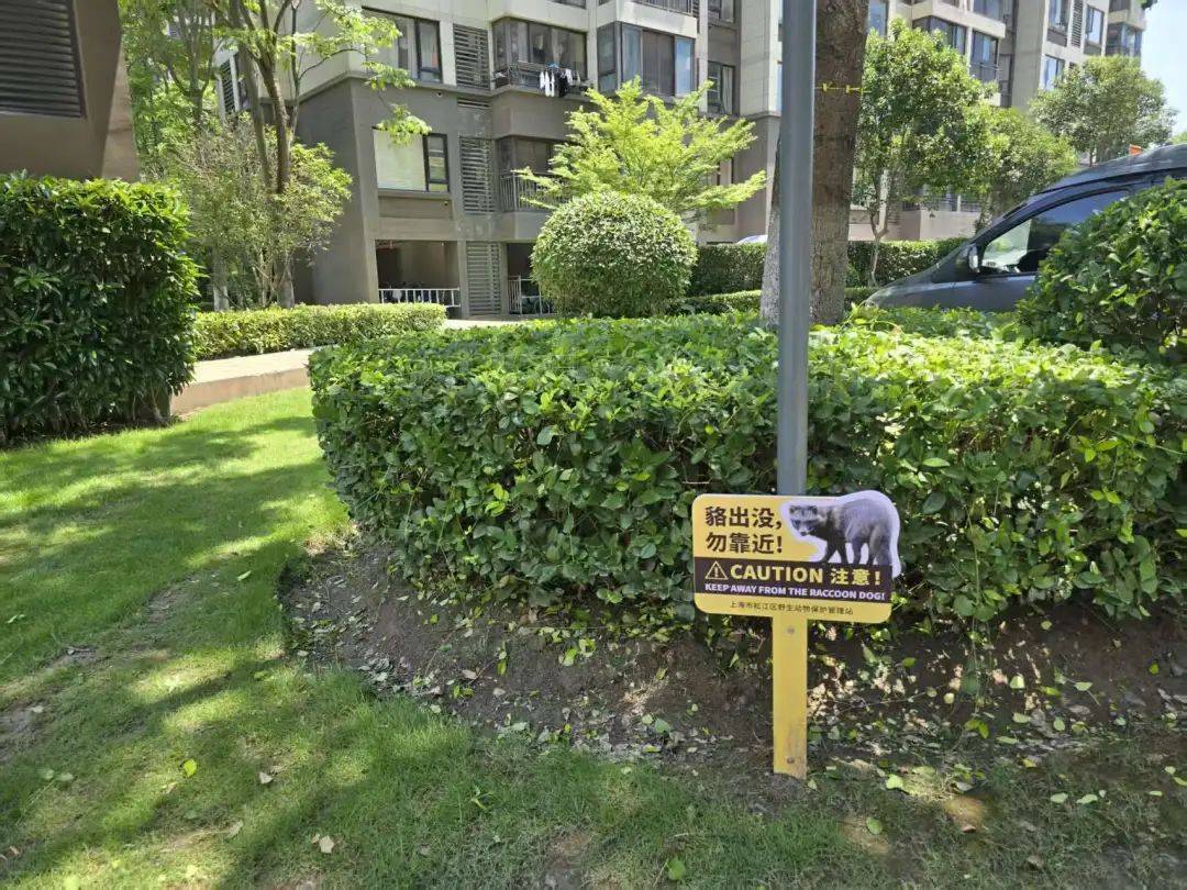 上海一小区居民苦恼新邻居:突然搬来让人提心吊胆!不能抓不能打