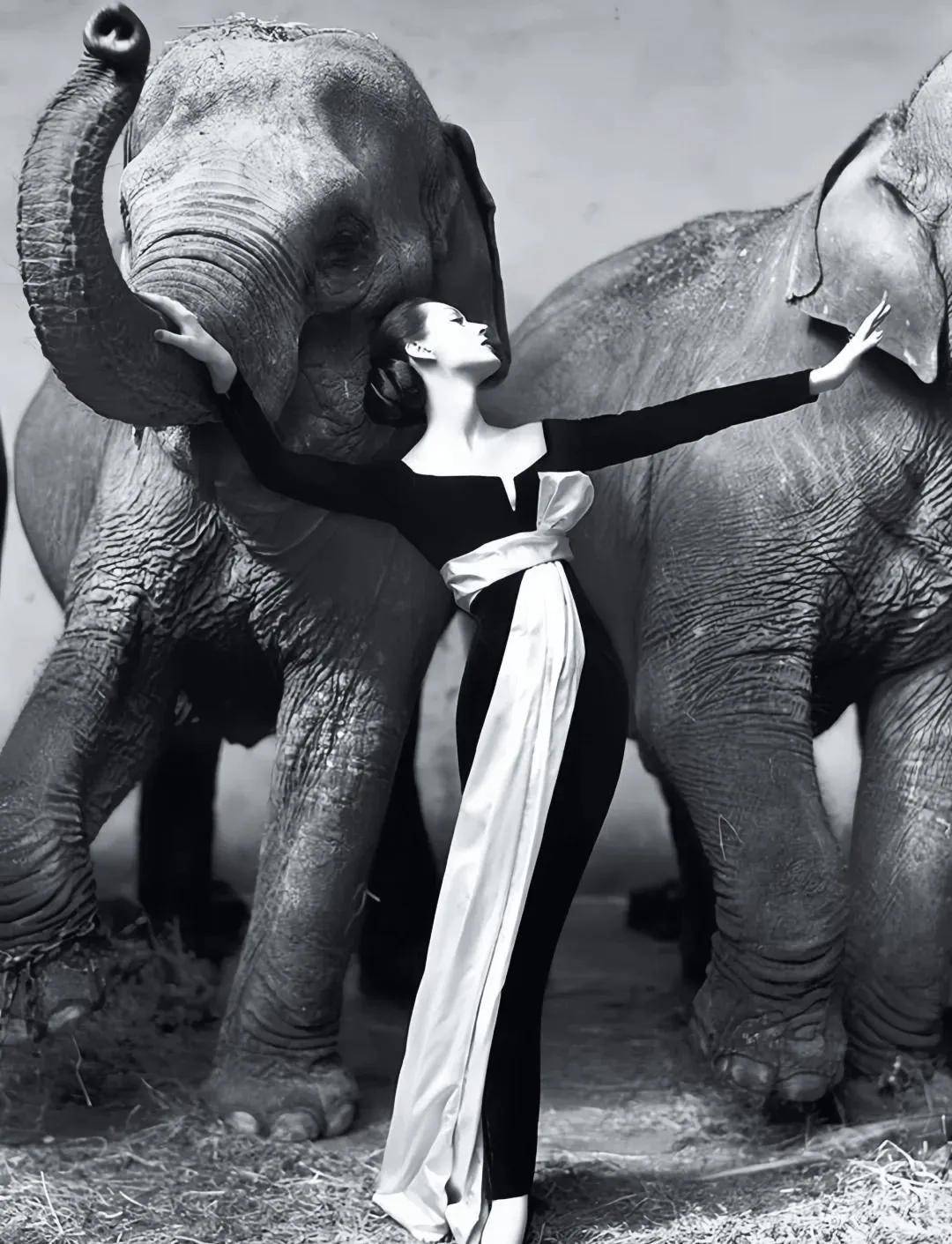 一个日本富二代,花7000万买了个二手铂金包,内幕是……