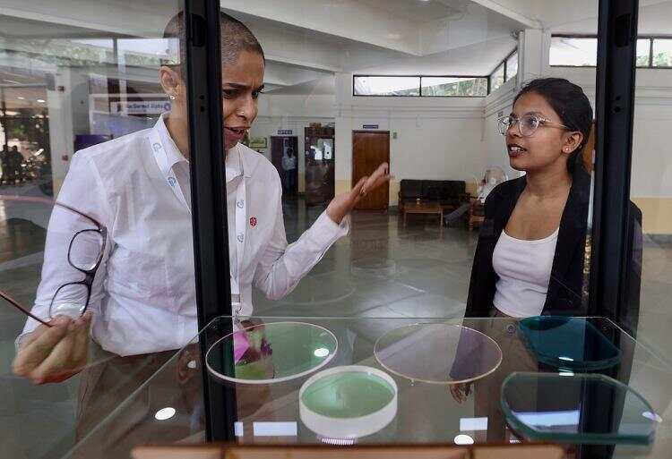 早安!世界丨日本执政联盟输掉参议院选举;特朗普政府开始审查马斯克的SpaceX公司