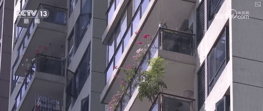 居住环境→租赁关系→资金安全……全方位保障!一文读懂《住房租赁条例》