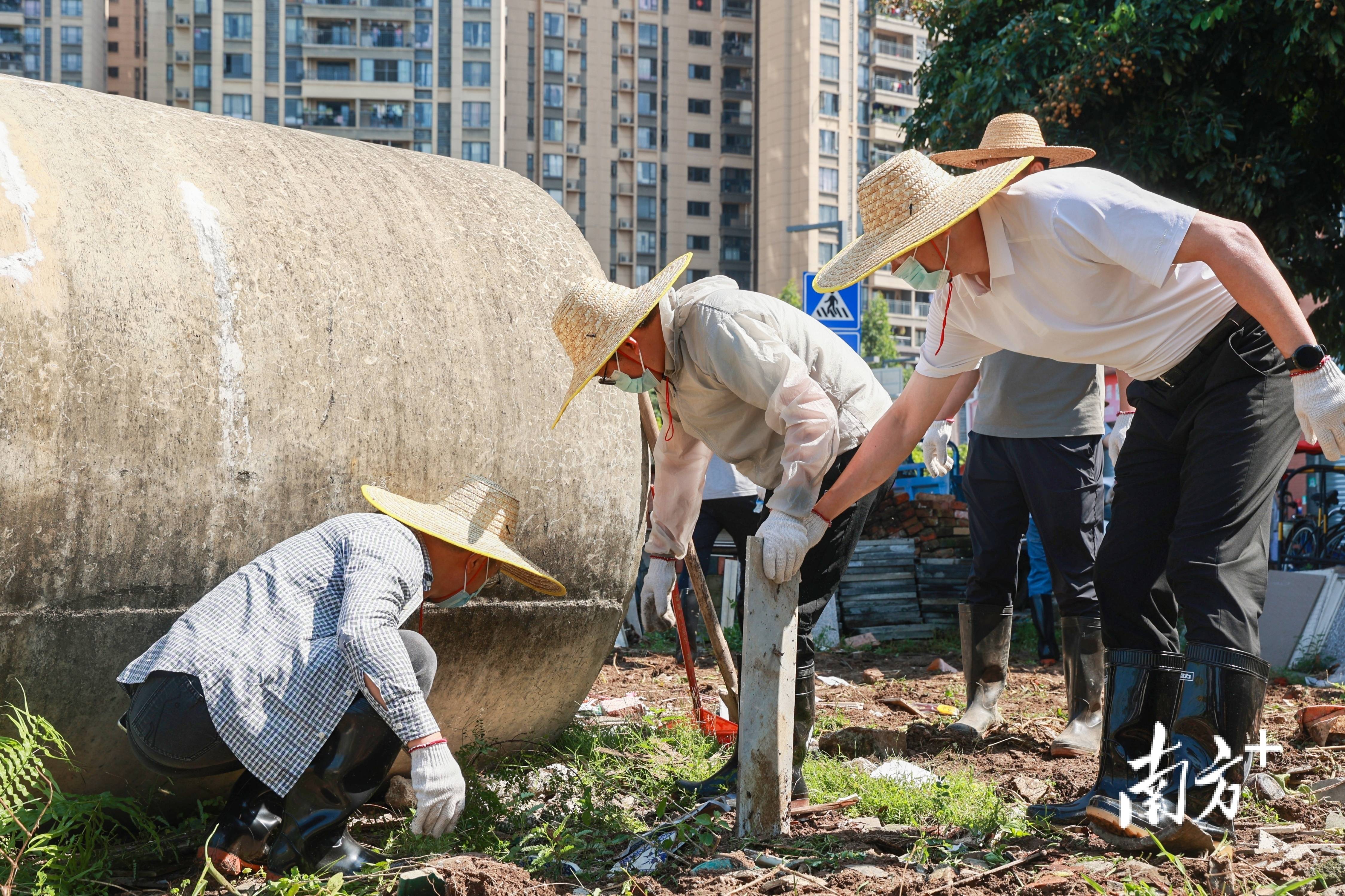 顺德超3300名党员干部下沉一线,党群联动打响蚊媒防控歼灭战