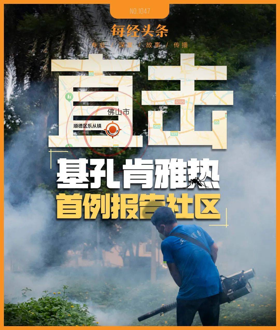 直击首例基孔肯雅热报告社区：下水井盖都加装纱网和胶带，已很难见到一只蚊子！千人投入“防蚊战”