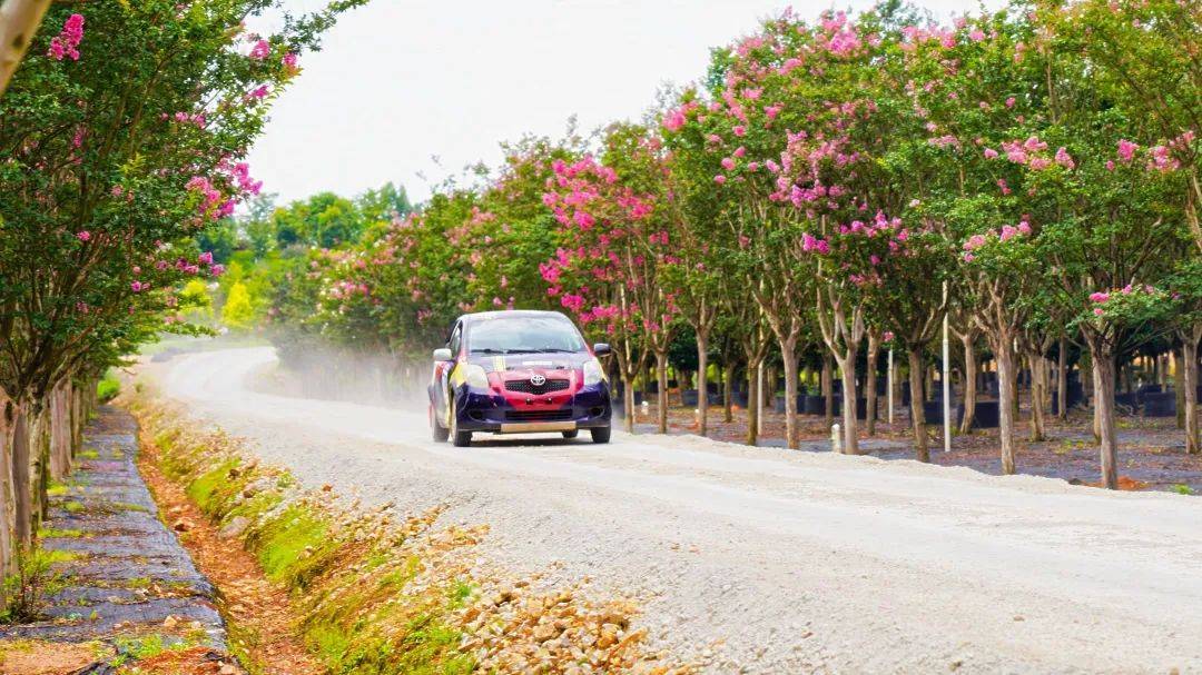 超燃!在花海里狂飙|有一种叫云南的生活之365天