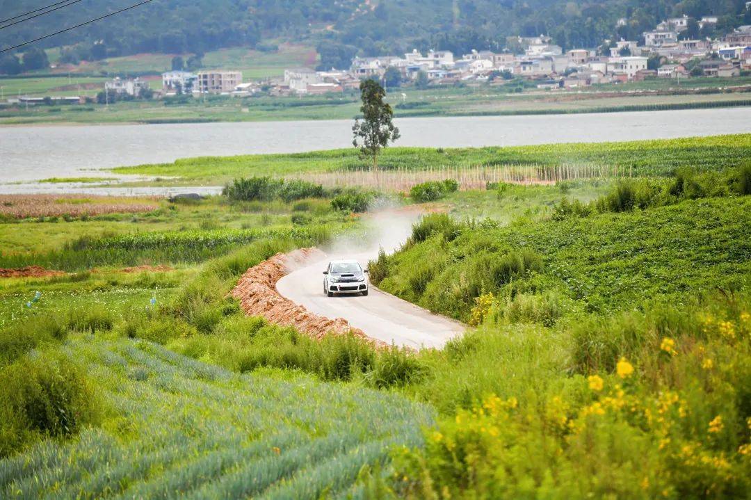 超燃!在花海里狂飙|有一种叫云南的生活之365天
