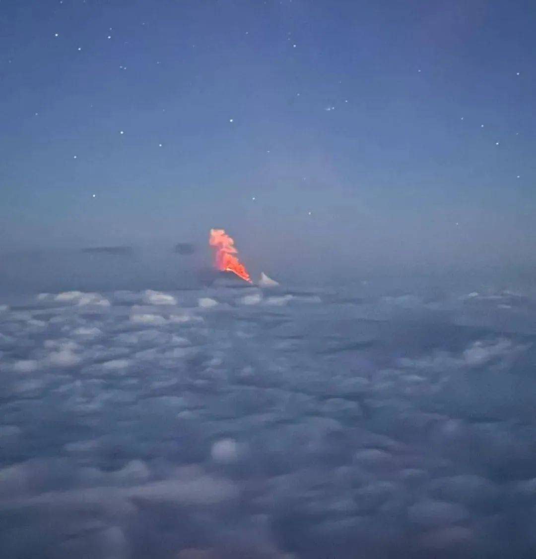 俄8.7级强震来袭瞬间:海狮跳入海中避险,岩石泥沙倾泻而下!震后一火山喷发