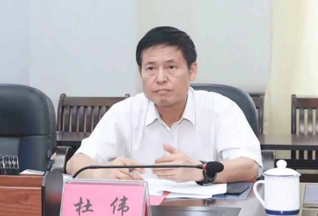 博士高官落马!中央巡视组入驻不足半月,南宁市政协原主席杜伟被查