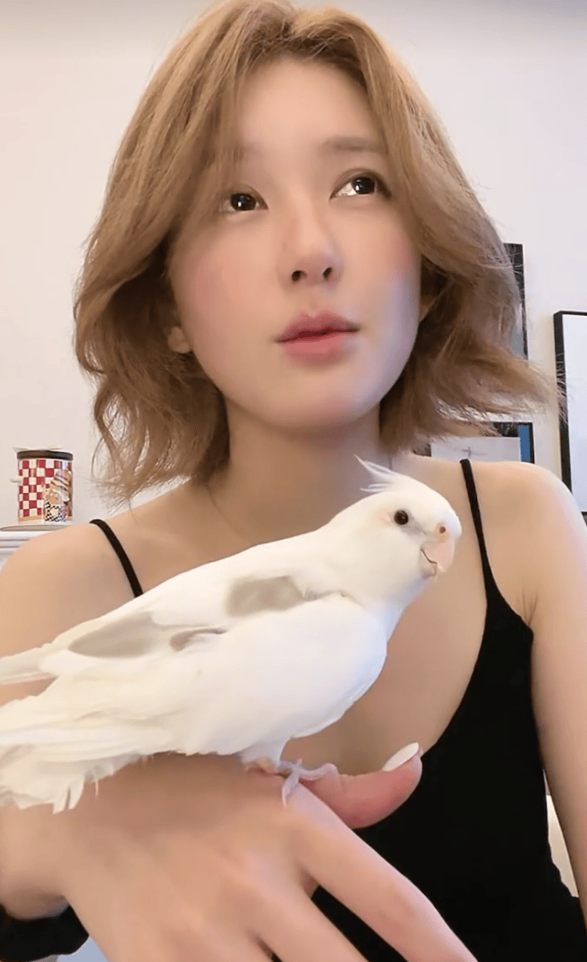 赵露思控诉经纪公司“不给看病,给我驱魔”!自曝被合伙人起诉,以后不会再开甜品店