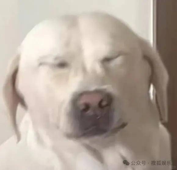 离婚三年又被拍到亲密逛超市,他俩这是纯带娃还是真复合了?