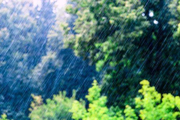 “几天下一年的雨”,防灾减灾关键在哪?