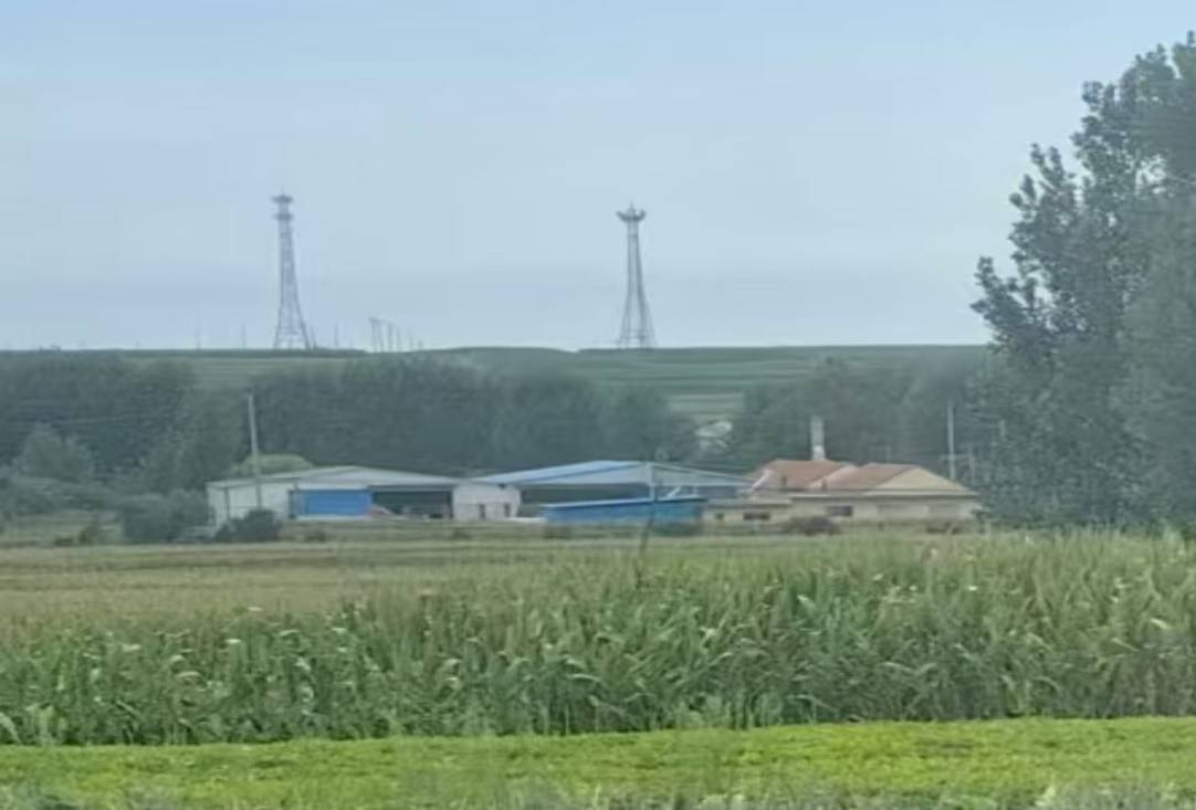 山东莱阳: 永久基本农田内惊现渗坑排污