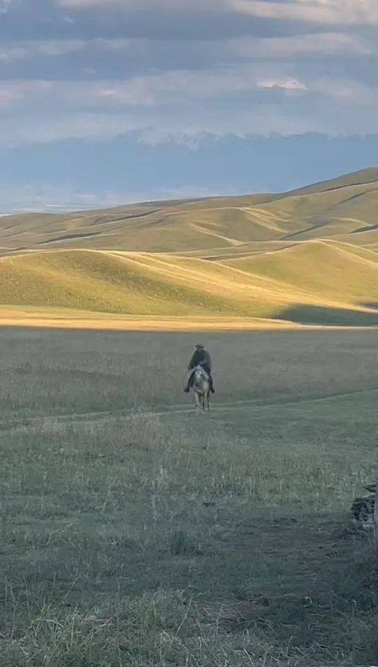 新疆男子在外工作偶然回家,父亲骑马飞奔迎接,感人一幕被拍下:爸爸快马加鞭从羊群赶回来