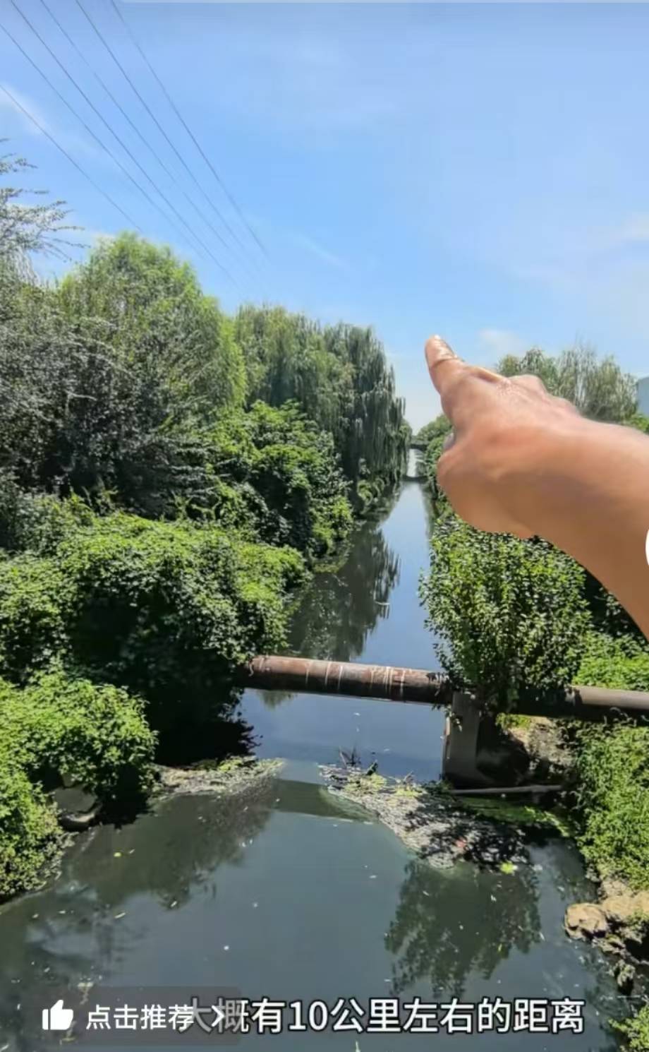 “比厕所的水还臭”,湖北云梦县现一条10公里长黑臭河流?当地:已成立专班处理