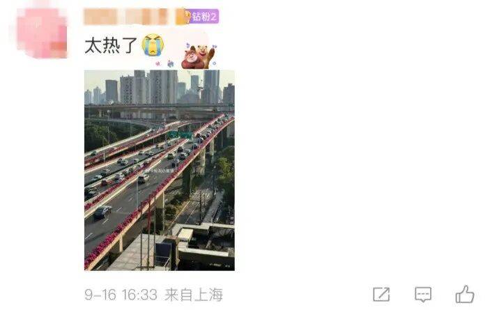 上海天气马上大转折!下午大到暴雨携凉风来袭!还有新台风正在酝酿…