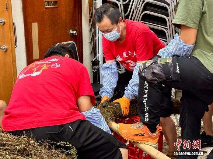 (寻味中华丨非遗)香港“大坑舞火龙”:“舞起来,就有无穷力量”