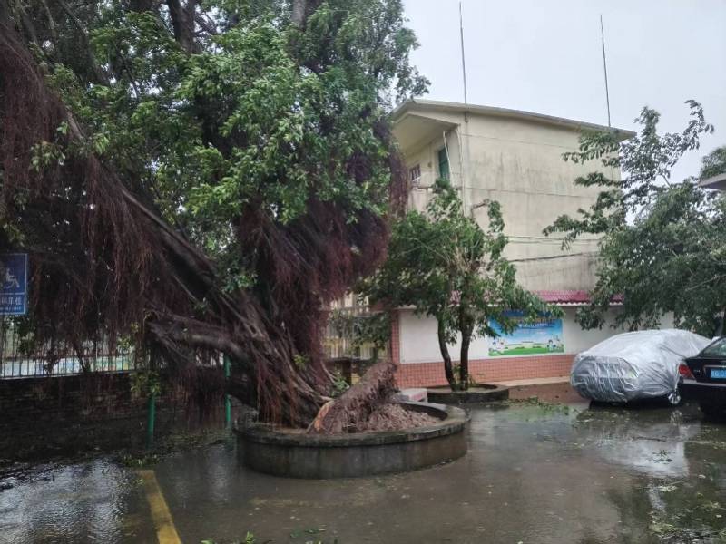 台风“麦德姆”今晚将移出广东!中秋节夜间全省大部可见月光