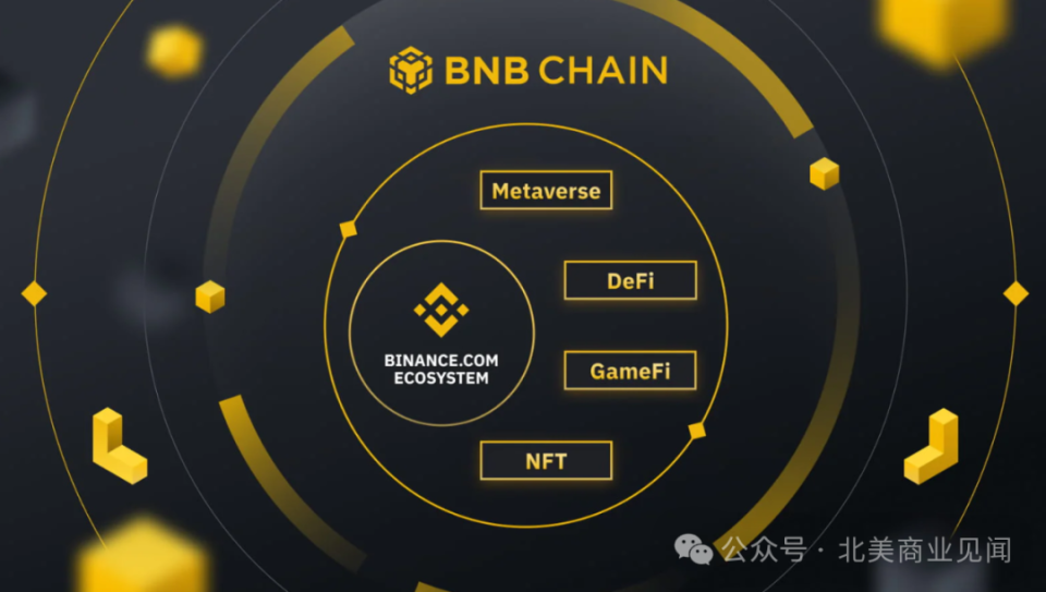 安币交易所(安币交易所官方下载)